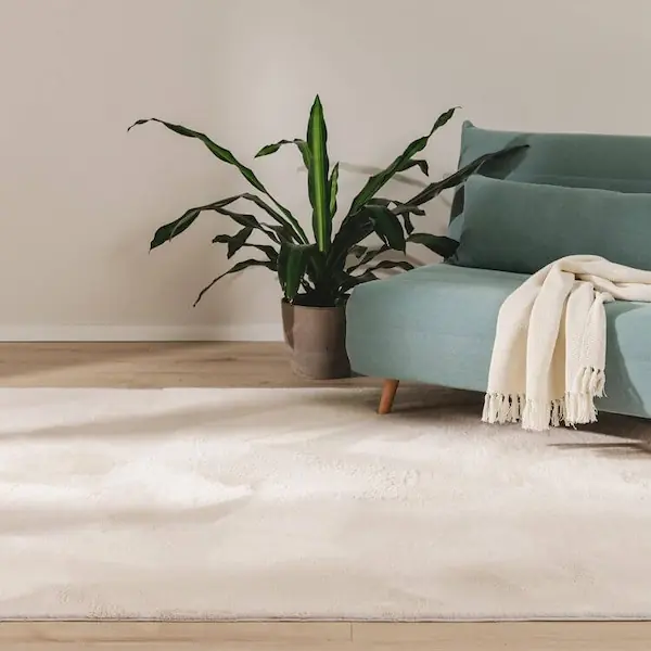 limpiar las alfombras en casa