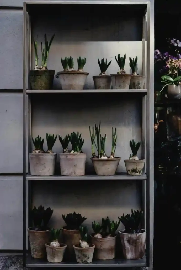 donde Comprar estanterías